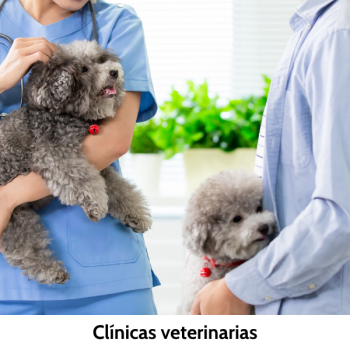 Veterinario